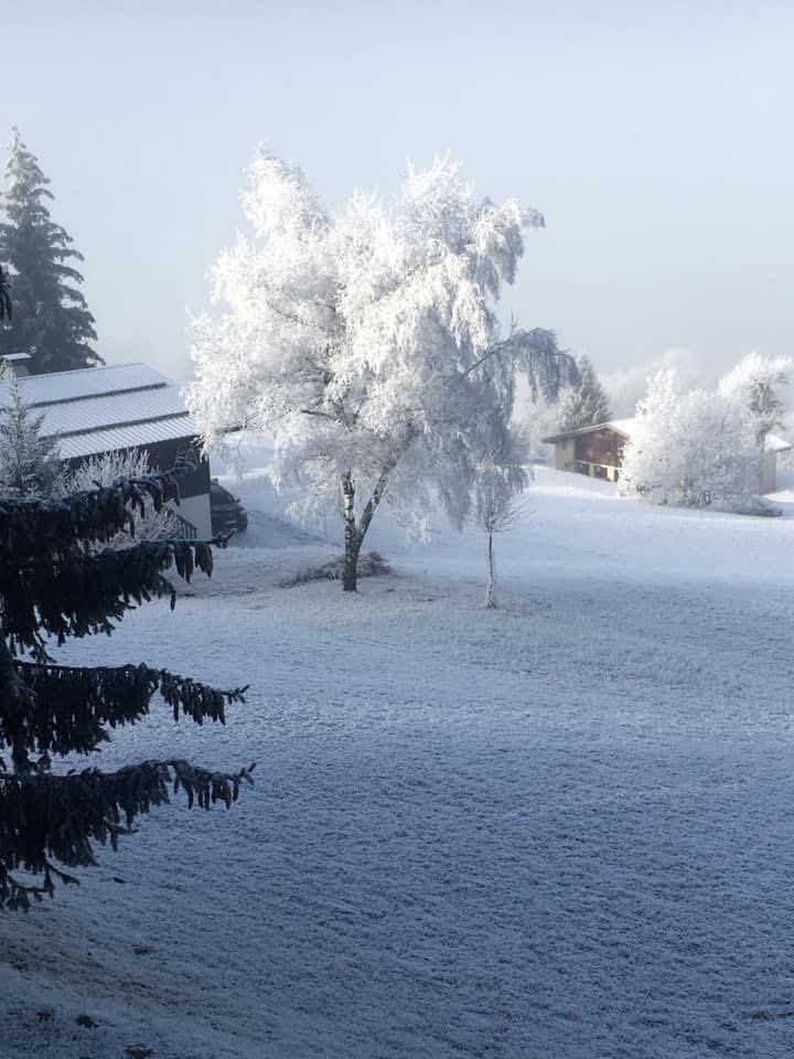 Appel au beau&nbsp;!