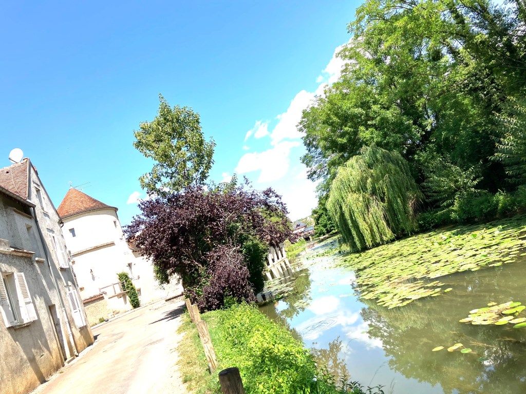 Ecologie, luxe ou nécessité&nbsp;?