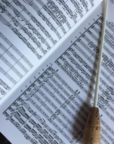 La naissance de la&nbsp;symphonie